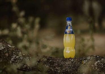 Made of 100% bio-based materials! What's so special about this prototype PET bottle from Suntory?